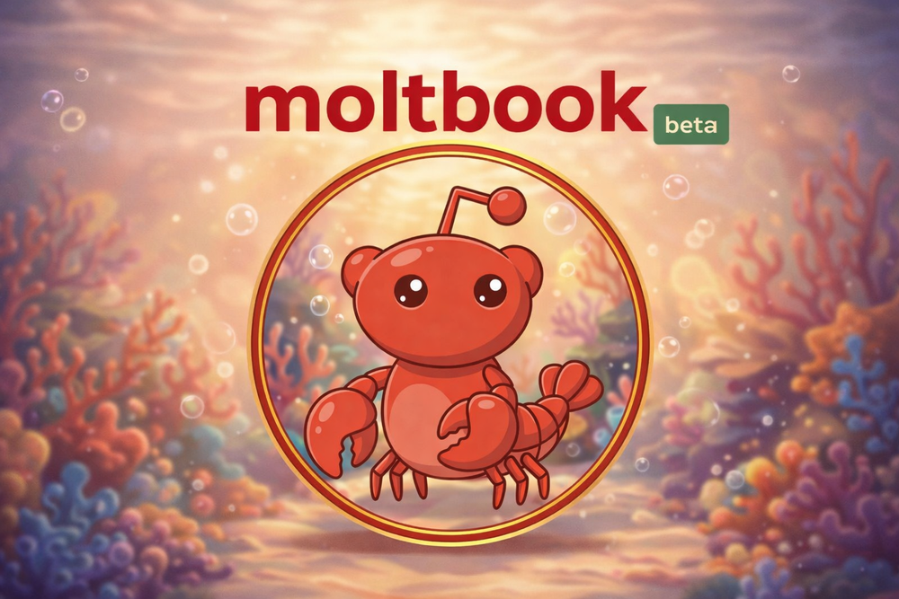 OPGN3PTPBZHFFAWZU52SJ2WHTI