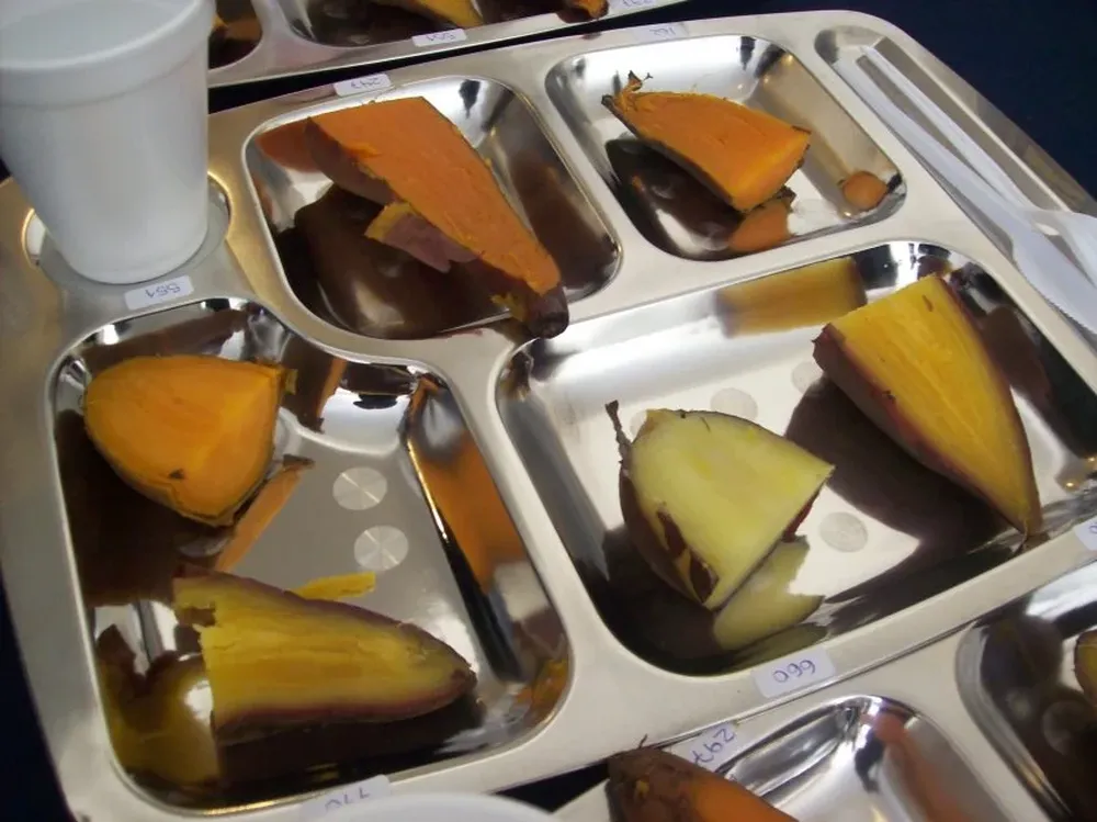 El boniato es uno de los productos de estación que aconsejan incluir en la dieta.