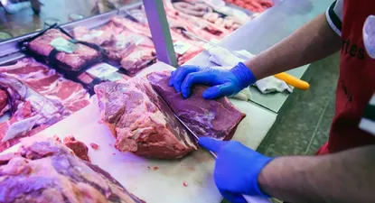La carne bajó en noviembre