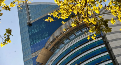 El Observador | torre antel