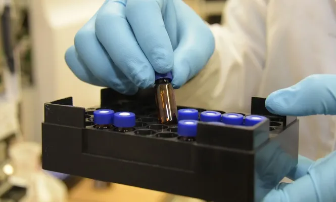 La industrias químicas y farmacéuticas han mostrado un fuerte dinamismo.