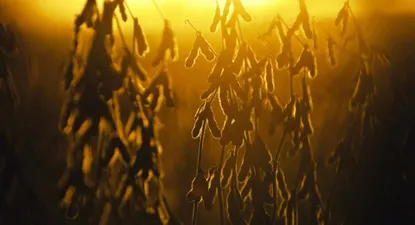 El Observador | 0001735502.webp