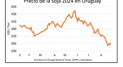 Trigo, cebada, soja... los agricultores atentos al mercado de granos.