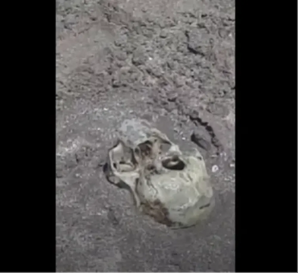 Estupor ante el hallazgo en la playa