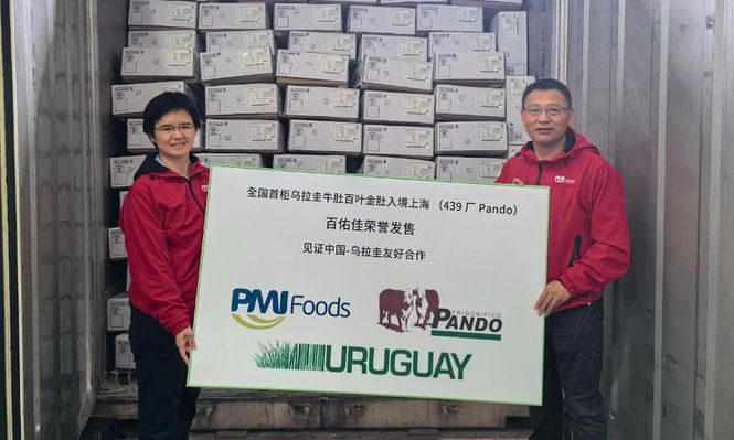 Primeros mondongos uruguayos exportados a China tras la apertura de ese mercado arribaron a destino
