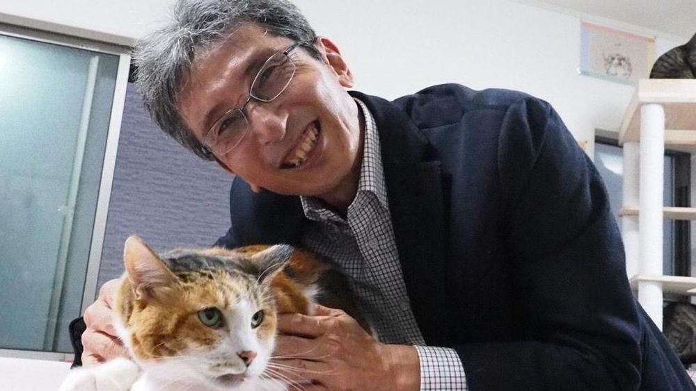 El profesor Sasaki comparó los genes de los gatos calicó con los de los que no lo son, utilizando gatos locales y una base de datos internacional del genoma.