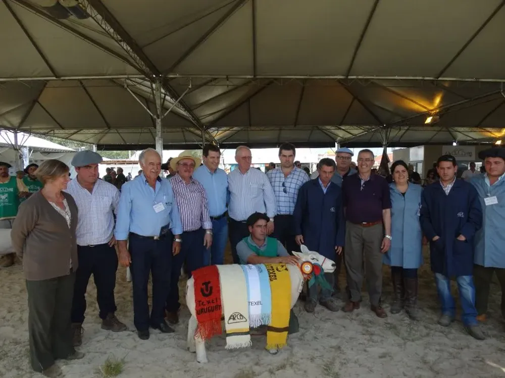 La Gran Campeona de la raza Texel en la muestra ganadera brasileña.