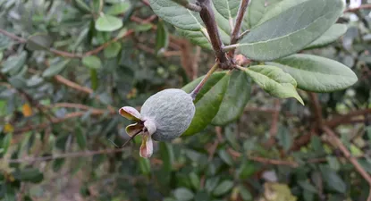 El Observador | DSC_0127.webp