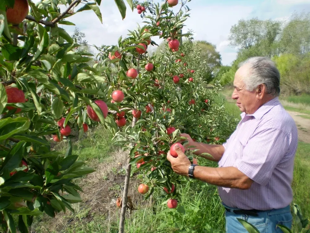 La CNFR nuclea a pequeños y medianos productores