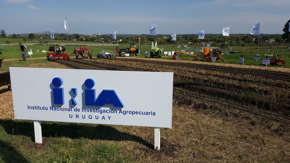 Gobierno: productores anhelan regularice y sostenga sus aportes al INIA (oto: área demostrativa de proyectos del instituto en el predio de la Expo Rural de Melilla).