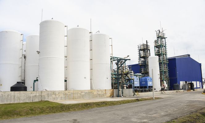 Alliance cuestiona pedido de prórroga de Efice: Las reglas deben ser justas y claras para todo el mundo y no deberían cambiarse sobre la marcha