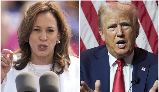 Kamala Harris y Donald Trump