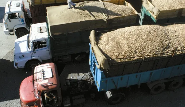 La expansión agrícola pone al descubierto la falta de infraestructura