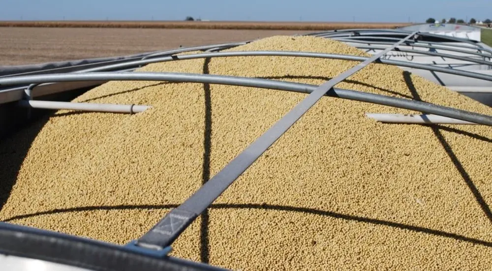 Argentina invierte este año US$ 1.700 millones en materias primas e infraestructura en sector agrícola