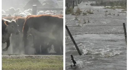 ARU: problemas para movilizar la producción, por las lluvias excesivas.