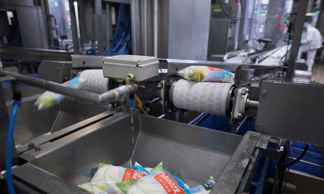 Conaprole, envasado de leche entera fresca.