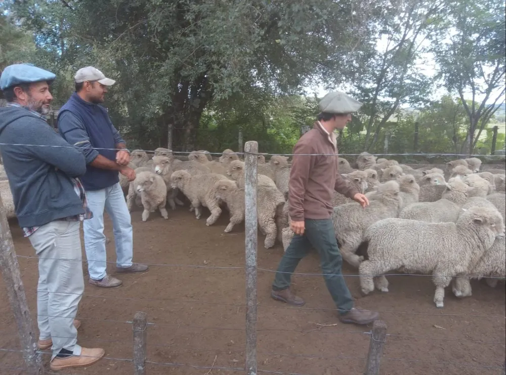 Desde la gremial se estima apoyar a más productores este año y llegar a un total de 270 involucrados.