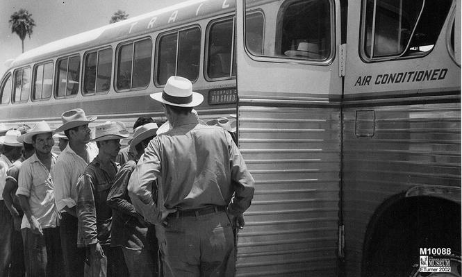 Miles de trabajadores indocumentados mexicanos fueron detenidos y deportados durante la Operación Espalda Mojada.