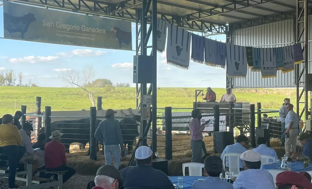 Remate de San Gregorio Ganadera.