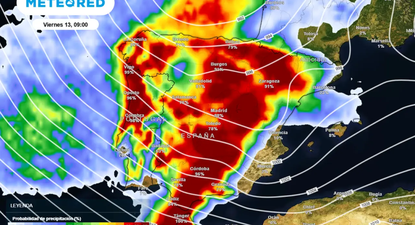 El Observador | image