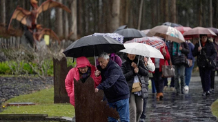 Frío y lluvia se posan sobre la península ibérica. Frío y lluvia se posan sobre la península ibérica.