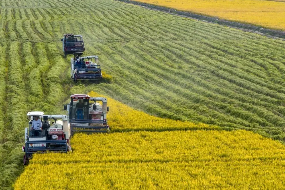 El sector recibió ayudas por un total de US$ 851.000 millones anuales entre 2020 y 2022.