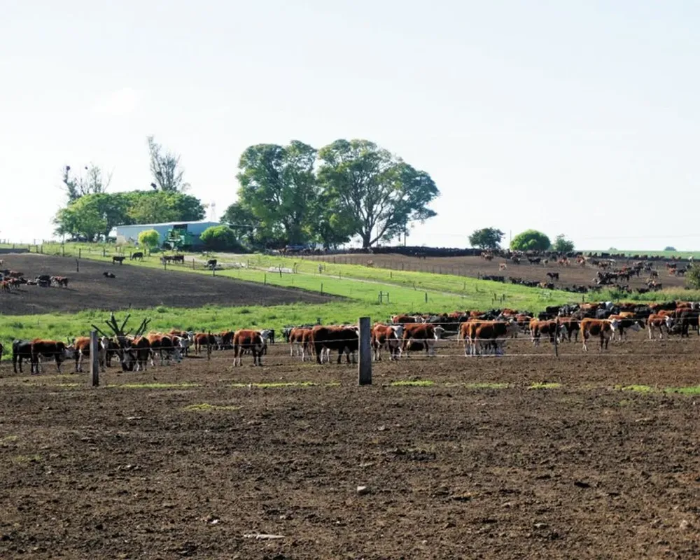 La Guía de buenas prácticas incluye un capítulo sobre su construcción