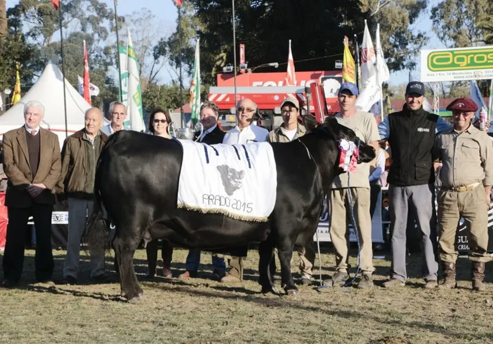 La Gran Campeona Aberdeen Angus coronada en la Expo Prado 2015