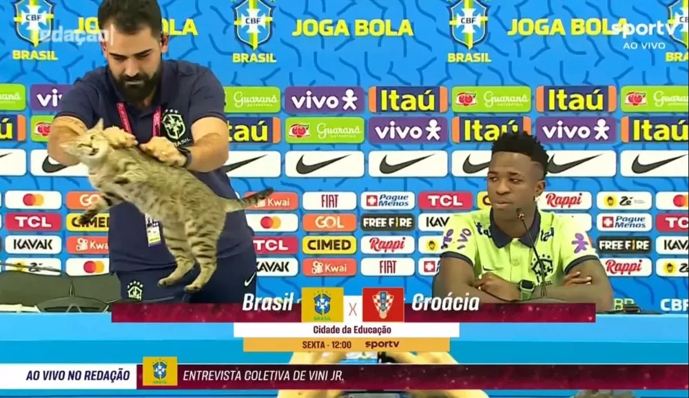 Así retiraron al gato de la conferencia de prensa de Brasil