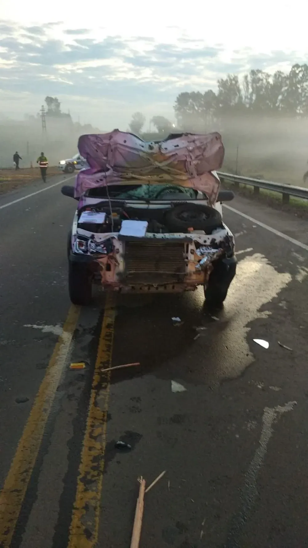 Accidente entre un auto y un caballo que terminó con la muerte del animal