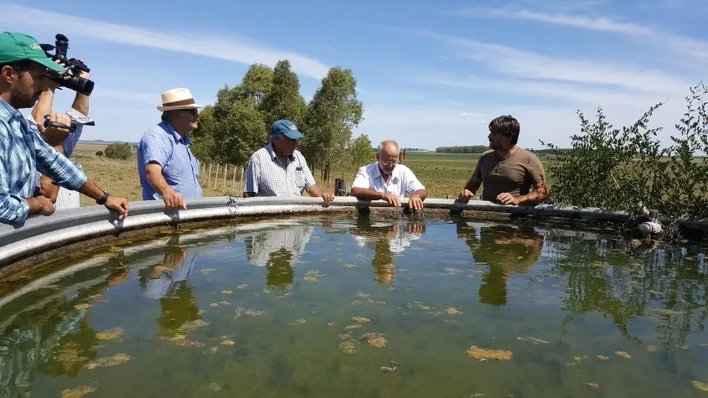 El ministro Benech, José Queirolo (MGAP) y el productor Devoto, observan un tanque australiano