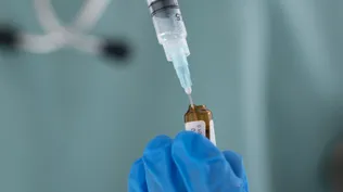 Anestésicos robados, viajes controlados y una muerte: qué son el propofol y el fentanilo y por qué su uso recreativo es mortal