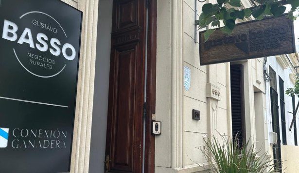 Justicia resolvió la liquidación de la herencia de Basso: propuesta de convenio presentada por las herederas no alcanzó las mayorías