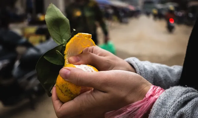Mandarinas, con precio bajo en estos momentos.