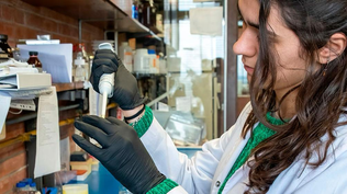 Una investigación de la UBA podría detectar el maltrato infantil a través de la saliva