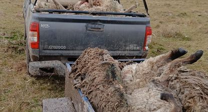 El Observador | WhatsApp Image 2025-07-19 at 06.47.36