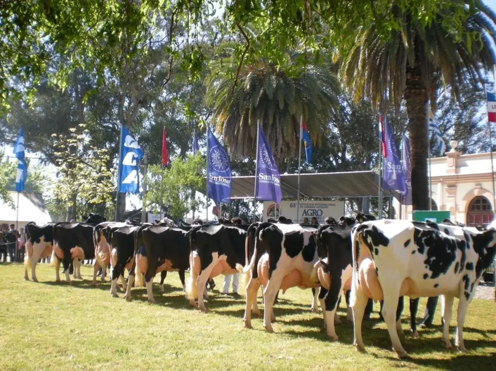 Jornada sobre genética lechera en San José trasmitirá conocimientos prácticos para una mejor selección