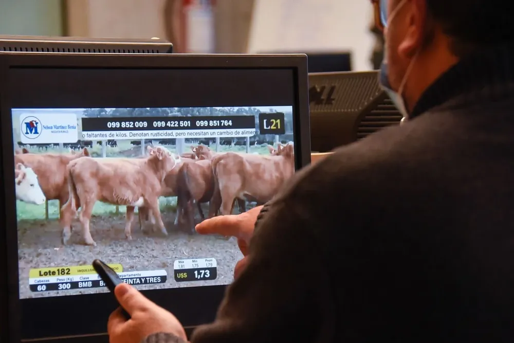 El remate se realizará en formato virtual.