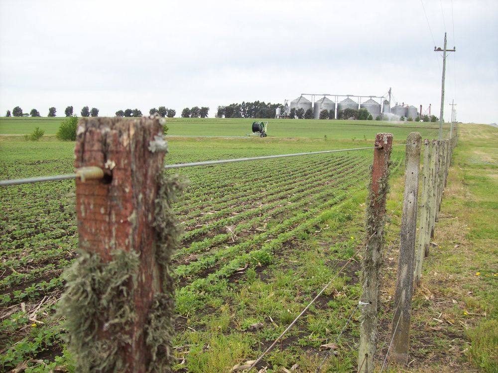 Suelos: el encalado de los campos integra el conjunto de buenas prácticas agrícolas.