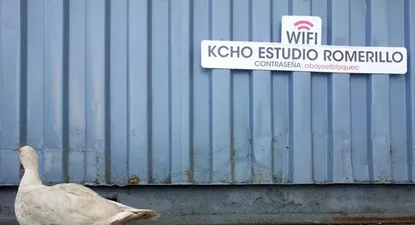 El Observador | 0007869587.webp