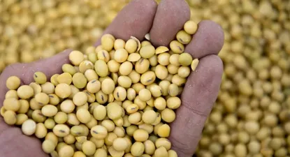 Gobierno proyecta mejoras en las exportaciones del agro para 2017