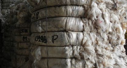 El Observador | DSCN7901