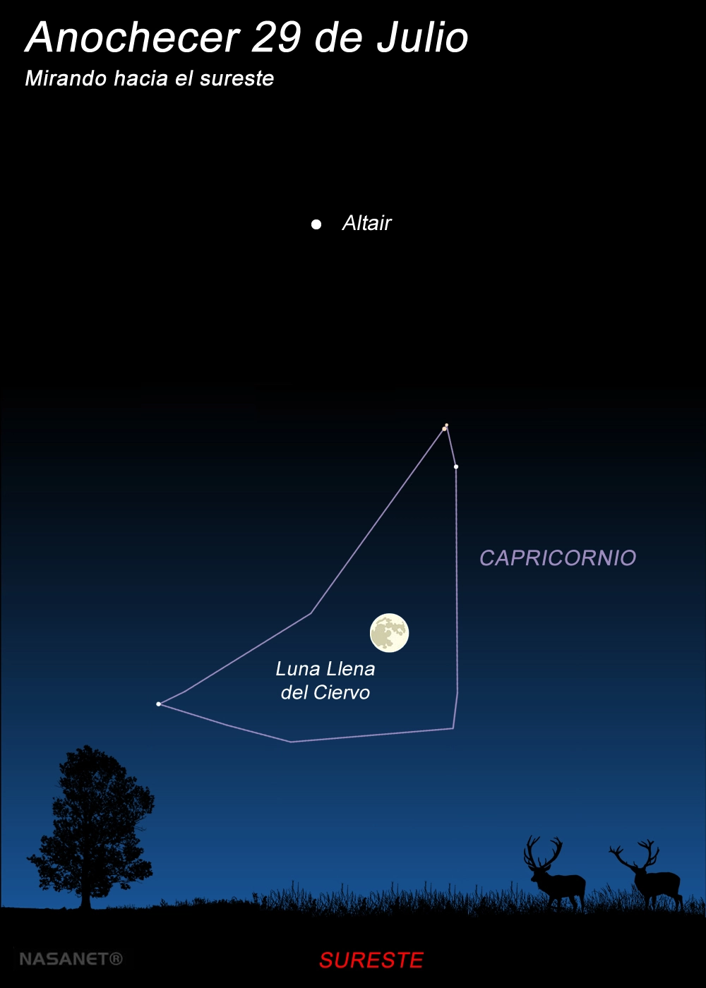Luna del Ciervo