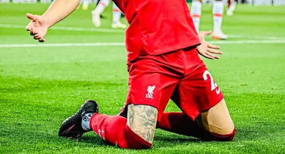 Darwin siempre es noticia en Inglaterra