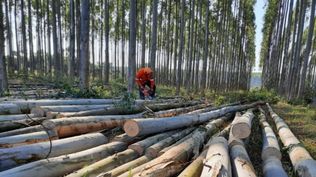 Paraguay anunció una millonaria inversión&nbsp;