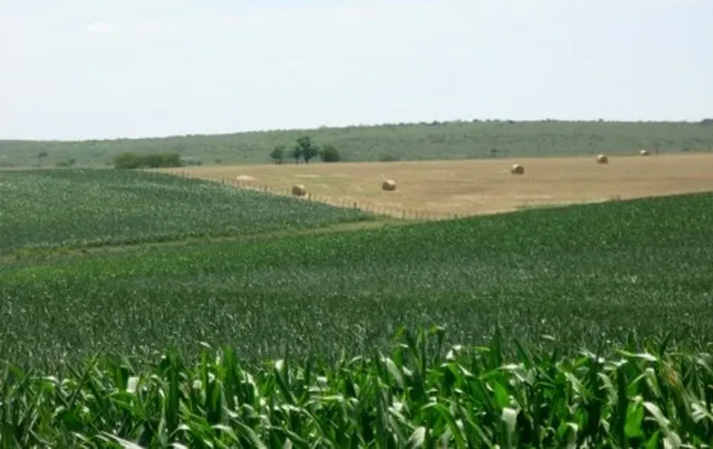 Los ministros de la región considerarán las políticas agrícolas de los diferentes países