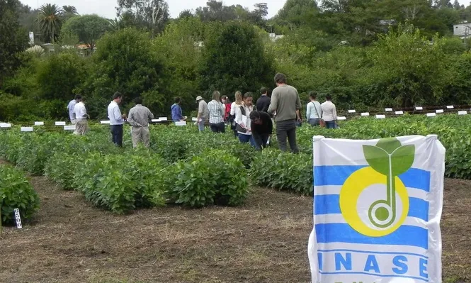 Inase: predio de ensayos de variedades vegetales.