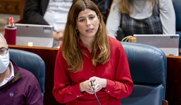 La diputada de Más Madrid en Parlamento madrileño, Loreto Arenillas