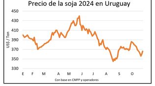 Cultivos con mejor panorama en las chacras y novedades en los mercados.