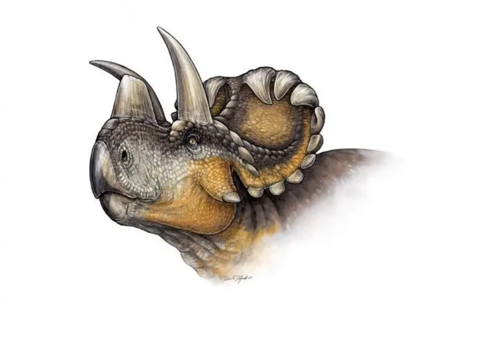 Reconstrucción de Wendiceratops pinhornensis